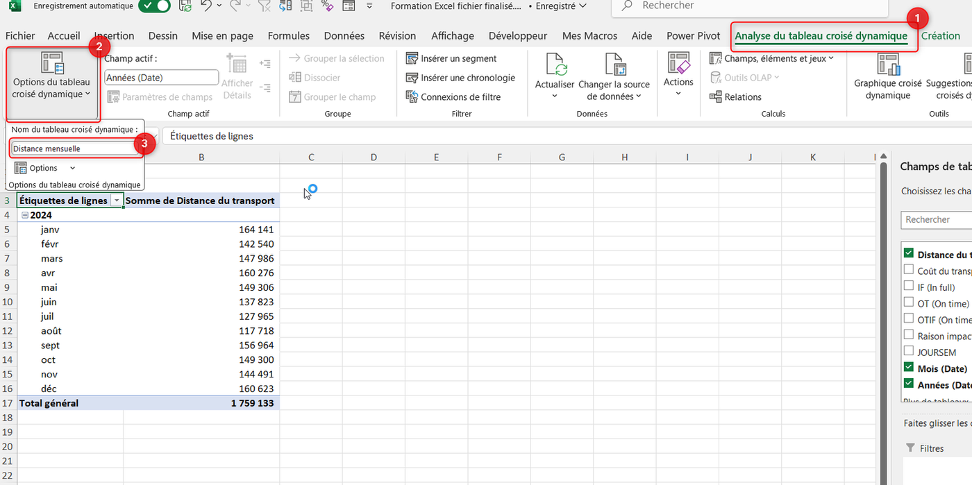 Tableau croisé dynamique Excel renommé Distance mensuelle avec options du TCD
