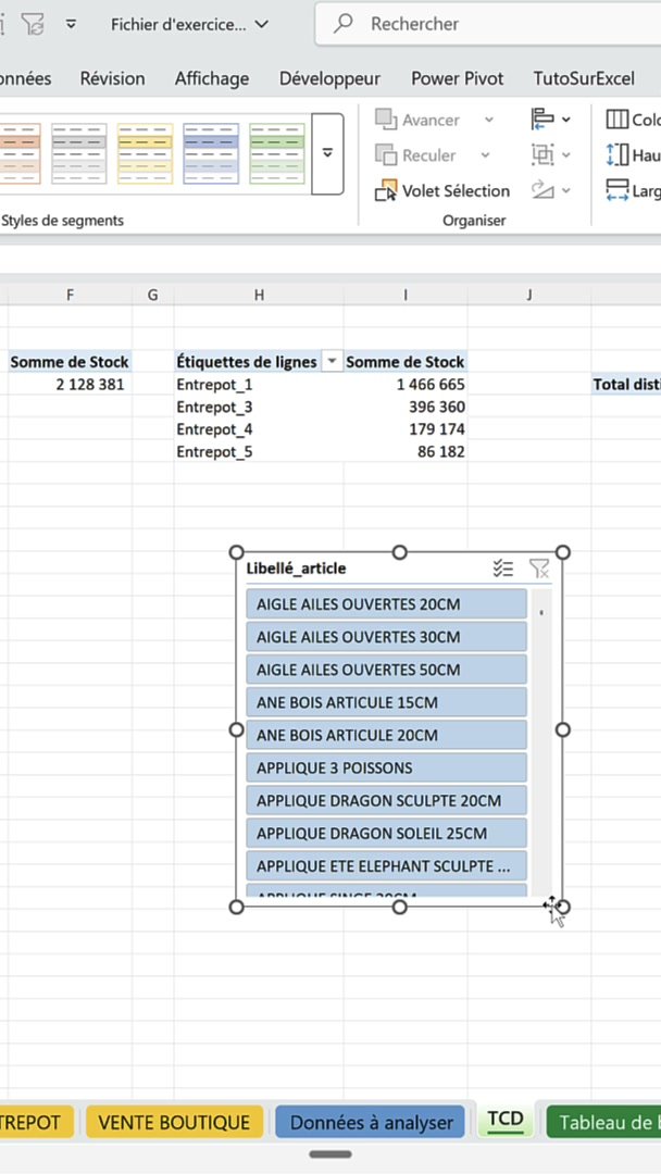 Segment Libellé article affiché sur la feuille de calcul Excel après insertion