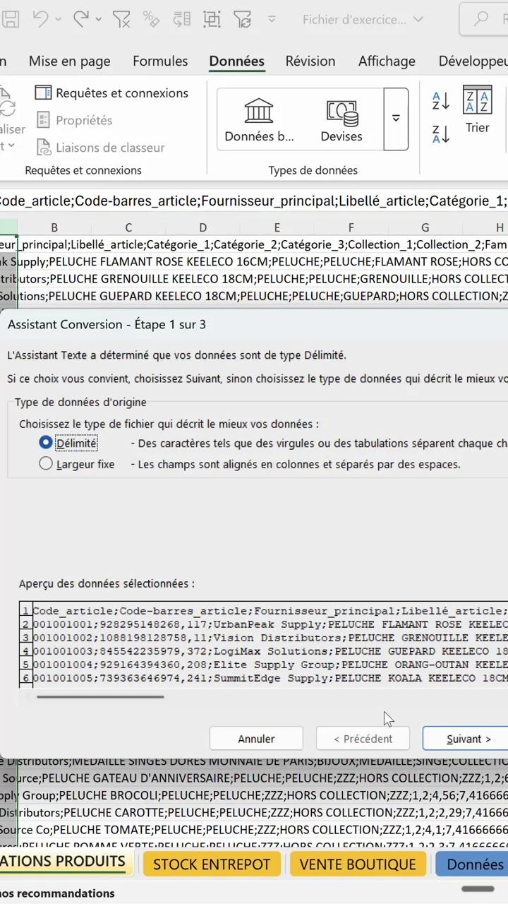 Assistant Conversion étape 1 sur 3 dans Excel, avec l'option Délimité sélectionnée