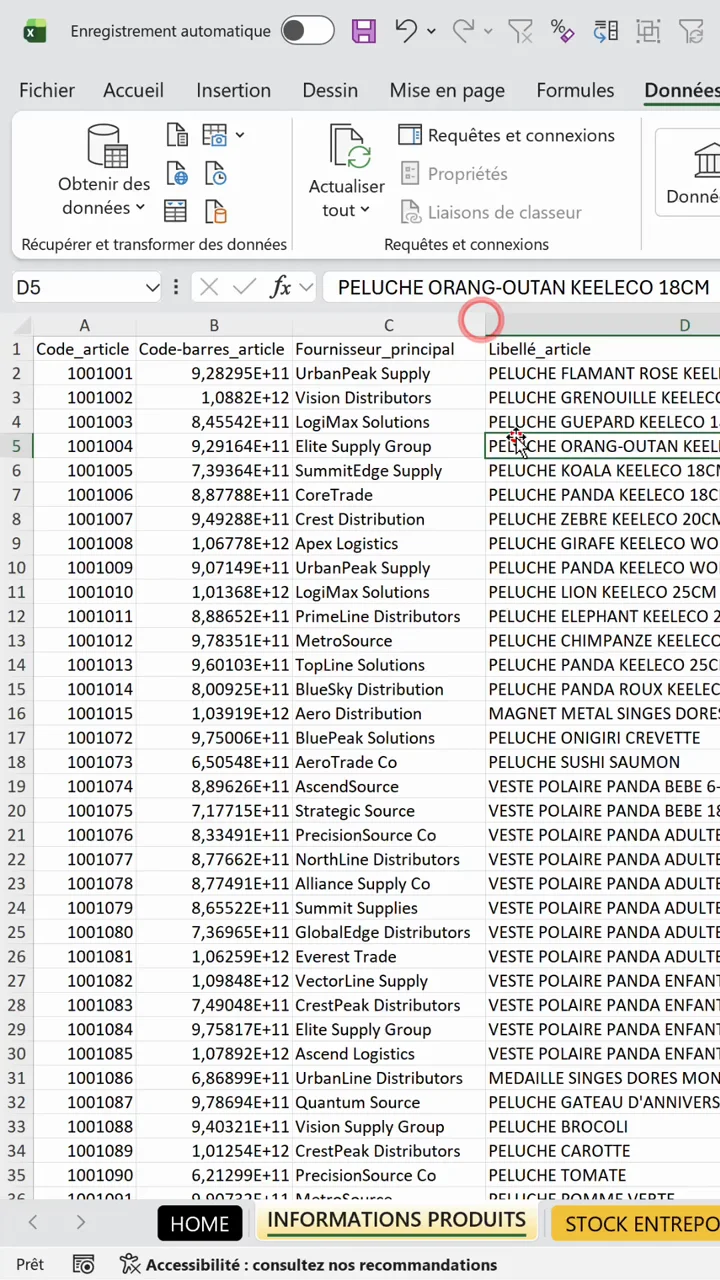 Tableau Excel avec les données réparties en colonnes propres après la conversion