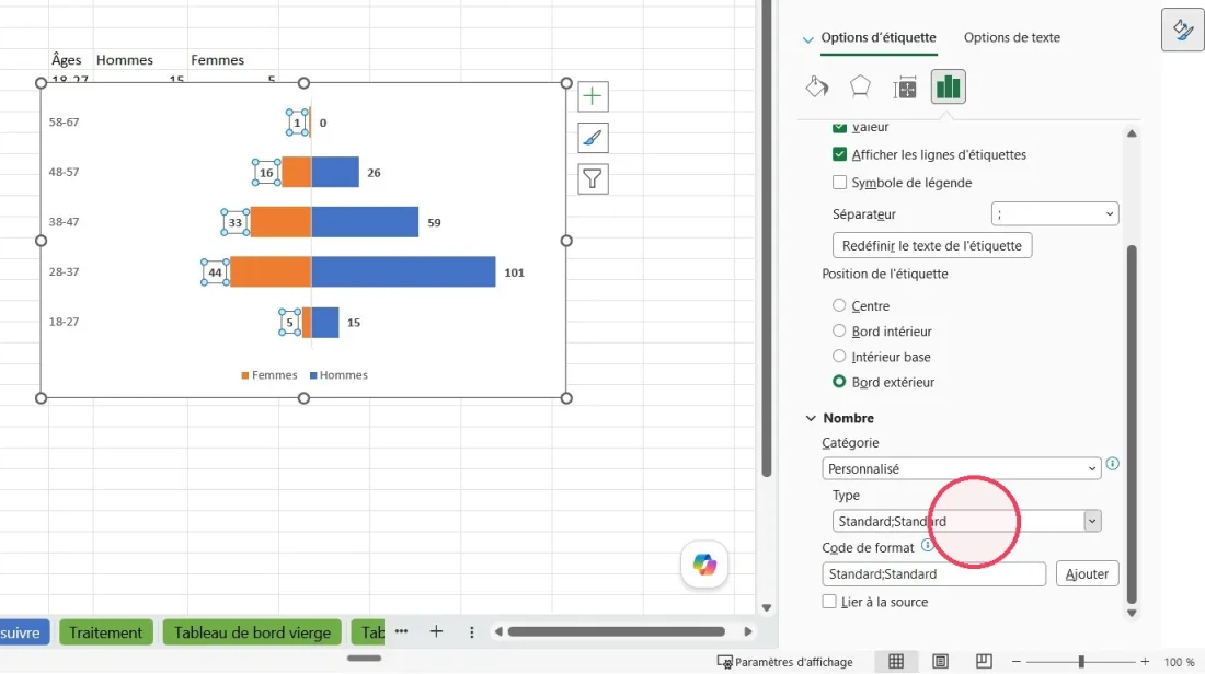 Volet Format des étiquettes d’Excel avec la catégorie Personnalisé et un type qui masque le signe négatif